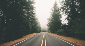 volatility concept of straight road in foggy forest