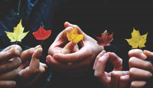 charitable-giving-fall-hands-holding-leaves
